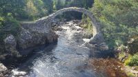 Old Packhorse Bridge Carrbridge 20230801 161550 &ndash; &copy; Marlies Thrum (Eberhardt TRAVEL)