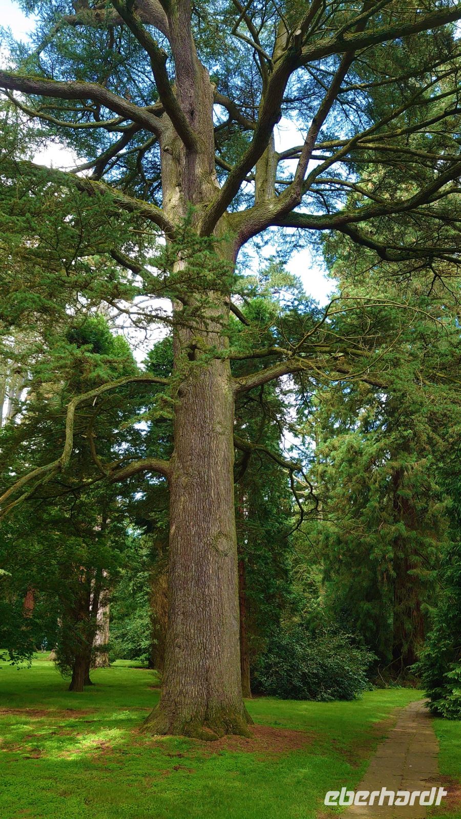 Im Arley Arboretum &ndash; &copy; Burkhard Herpich (Eberhardt TRAVEL)