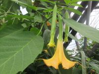 Mediterranes Biom &ndash; &copy; Heike Heinen (Eberhardt TRAVEL)