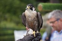 &copy; Andreas Böcker (Eberhardt TRAVEL)