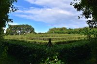 113 Cawdor Castle &ndash; &copy; Konrad Füssel (Eberhardt TRAVEL)