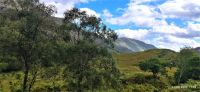 209 Western Highlands &ndash; &copy; Konrad Füssel (Eberhardt TRAVEL)