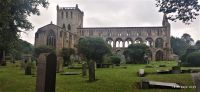 326 Jedburgh Abbey &ndash; &copy; Konrad Füssel (Eberhardt TRAVEL)