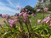 Im Original &ndash; &copy; Gerold Achim Adamietz (Eberhardt TRAVEL)