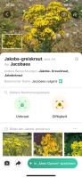 Info dazu &ndash; &copy; Gerold Achim Adamietz (Eberhardt TRAVEL)