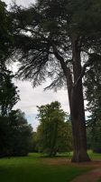 Arley Aboretum & Gardens.JPG &ndash; &copy; Burkhard Herpich (Eberhardt TRAVEL)