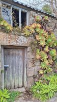 Isles of Scilly, St Martin's &ndash; &copy; Sinah Witzig (Eberhardt TRAVEL)