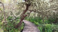 Isles of Scilly, St Mary's &ndash; &copy; Sinah Witzig (Eberhardt TRAVEL)