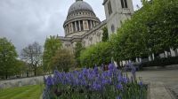 St. Pauls Kathedrale 