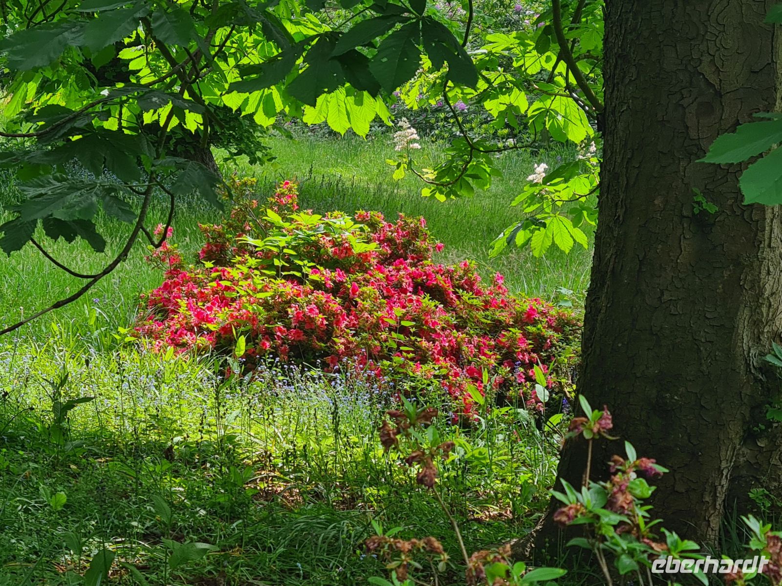 Tag 5 - Arley Arboretum - Eindrücke (1).jpg &ndash; &copy; Jana Wessendorf (Eberhardt TRAVEL)