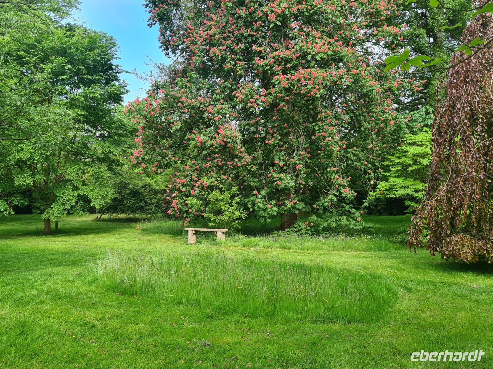 Tag 5 - Arley Arboretum - Eindrücke (3).jpg &ndash; &copy; Jana Wessendorf (Eberhardt TRAVEL)