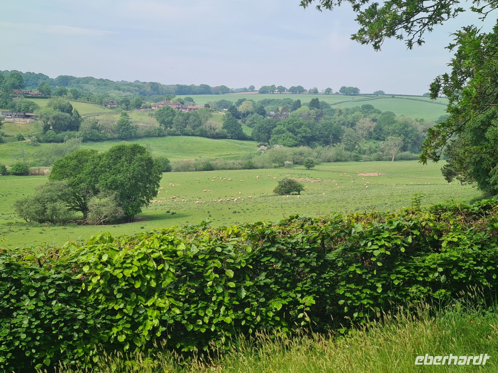Tag 5 - Arley Arboretum - Eindrücke (4).jpg &ndash; &copy; Jana Wessendorf (Eberhardt TRAVEL)