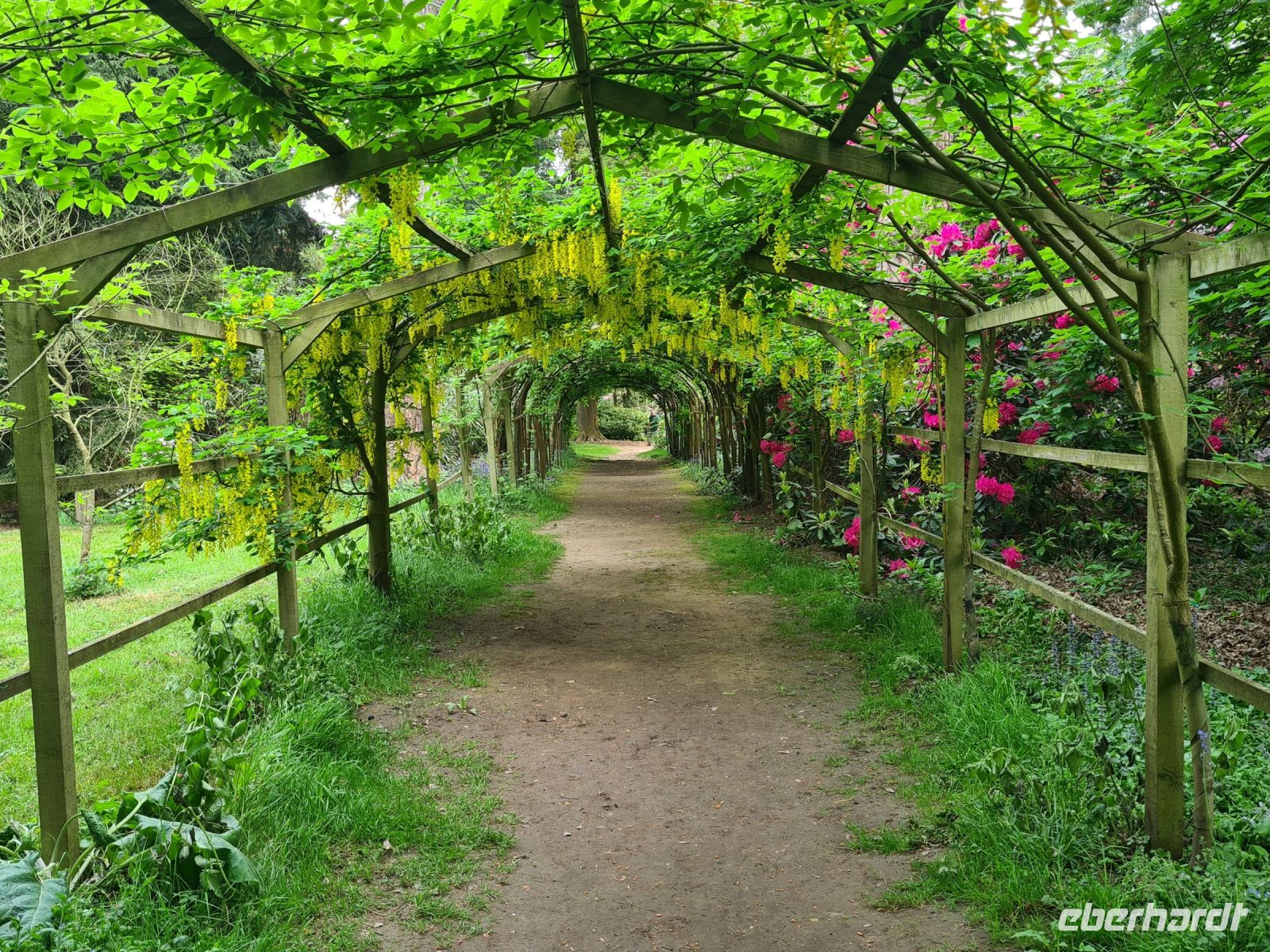 Tag 5 - Arley Arboretum - Eindrücke (5).jpg &ndash; &copy; Jana Wessendorf (Eberhardt TRAVEL)