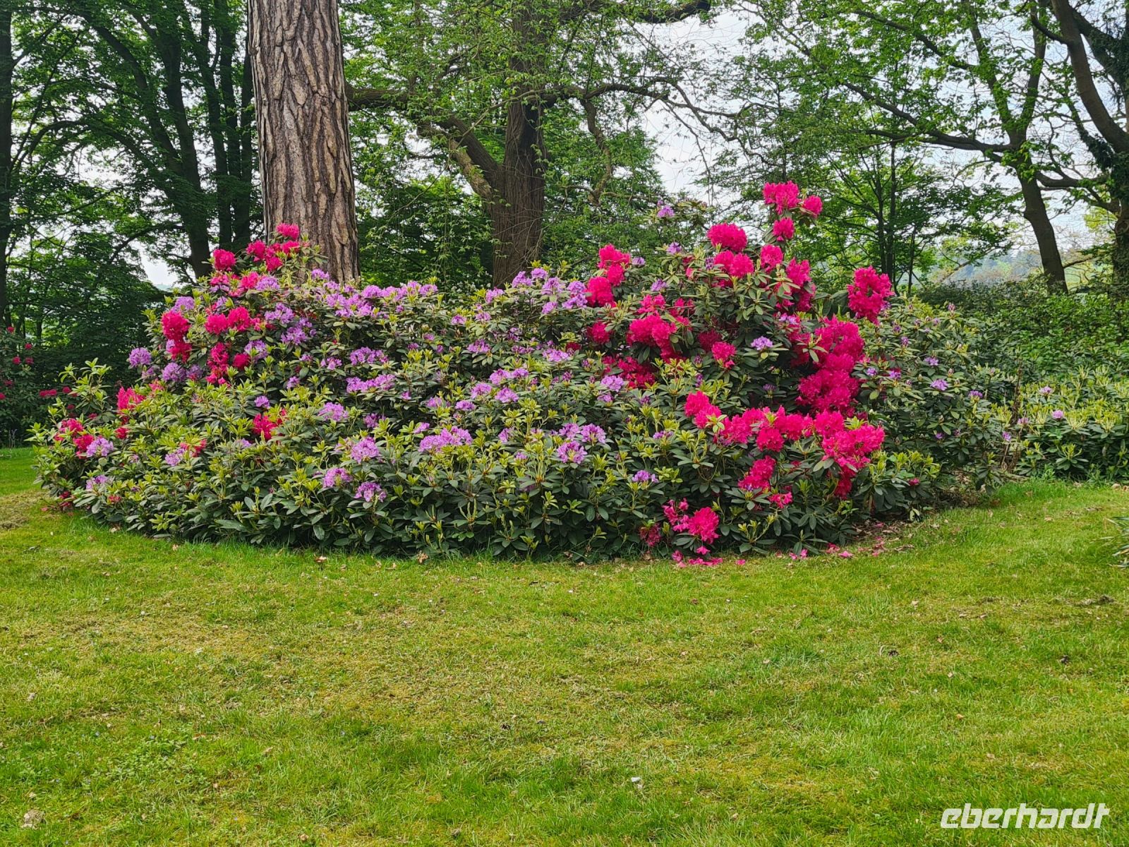 Tag 5 - Arley Arboretum - Eindrücke (6).jpg &ndash; &copy; Jana Wessendorf (Eberhardt TRAVEL)
