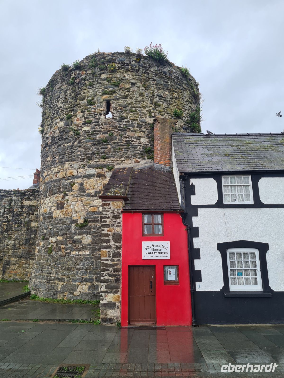 Tag 6 - Wales -  Conwy kleinstes Haus GB.jpg &ndash; &copy; Jana Wessendorf (Eberhardt TRAVEL)