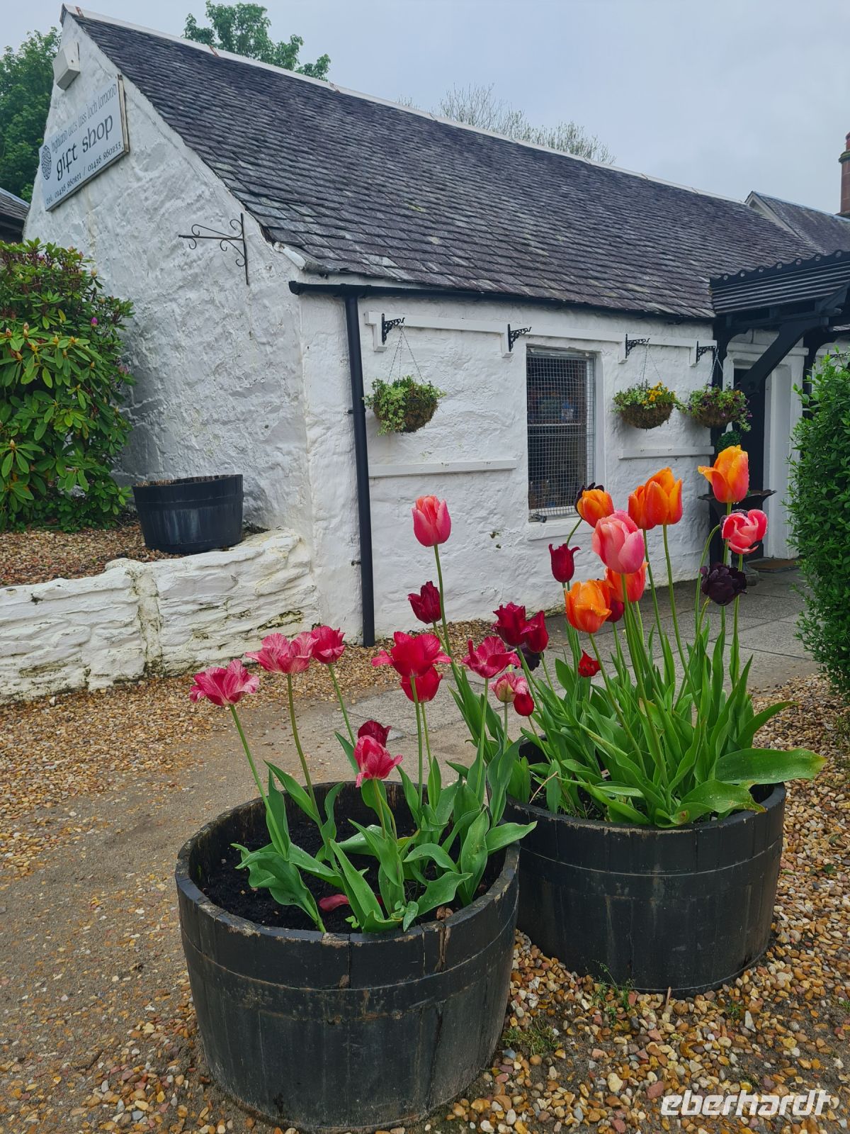 Tag 8 - Schottland - Luss am Loch Lomond.jpg &ndash; &copy; Jana Wessendorf (Eberhardt TRAVEL)