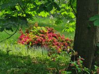 Tag 5 - Arley Arboretum - Eindrücke (1).jpg &ndash; &copy; Jana Wessendorf (Eberhardt TRAVEL)