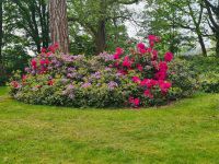 Tag 5 - Arley Arboretum - Eindrücke (6).jpg &ndash; &copy; Jana Wessendorf (Eberhardt TRAVEL)
