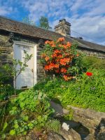 Tag 10 - Schottland - Pitlochry - Morgenspaziergang (4).jpg &ndash; &copy; Jana Wessendorf (Eberhardt TRAVEL)