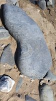 Lyme Regis, am Ammonitenstrand &ndash; &copy; Sylvia Führ (Eberhardt TRAVEL)