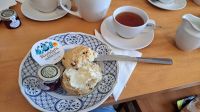 Cream Tea in Lanhydrock &ndash; &copy; Sylvia Führ (Eberhardt TRAVEL)