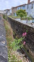 Spaziergang in Truro &ndash; &copy; Sylvia Führ (Eberhardt TRAVEL)