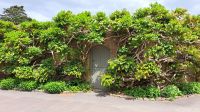 Trelissik Garden &ndash; &copy; Sylvia Führ (Eberhardt TRAVEL)