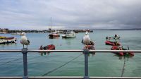 St. Ives &ndash; &copy; Sylvia Führ (Eberhardt TRAVEL)