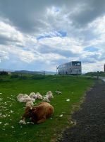 ...mit Coach &ndash; &copy; G. Adamietz (Eberhardt TRAVEL)