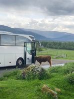 Darf ich mit? &ndash; &copy; G. Adamietz (Eberhardt TRAVEL)