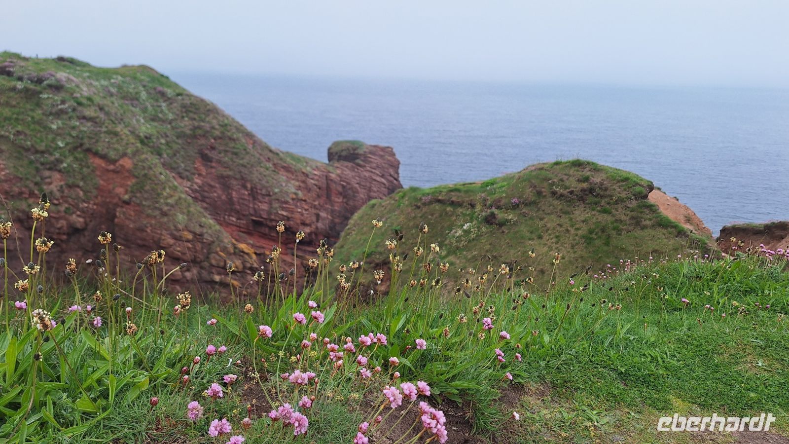 Arbroath Cliffs Trail &ndash; &copy; Sinah Witzig (Eberhardt TRAVEL)