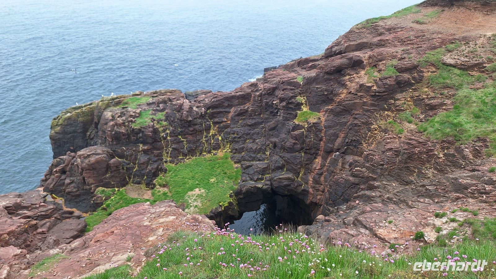 Arbroath Cliffs Trail &ndash; &copy; Sinah Witzig (Eberhardt TRAVEL)