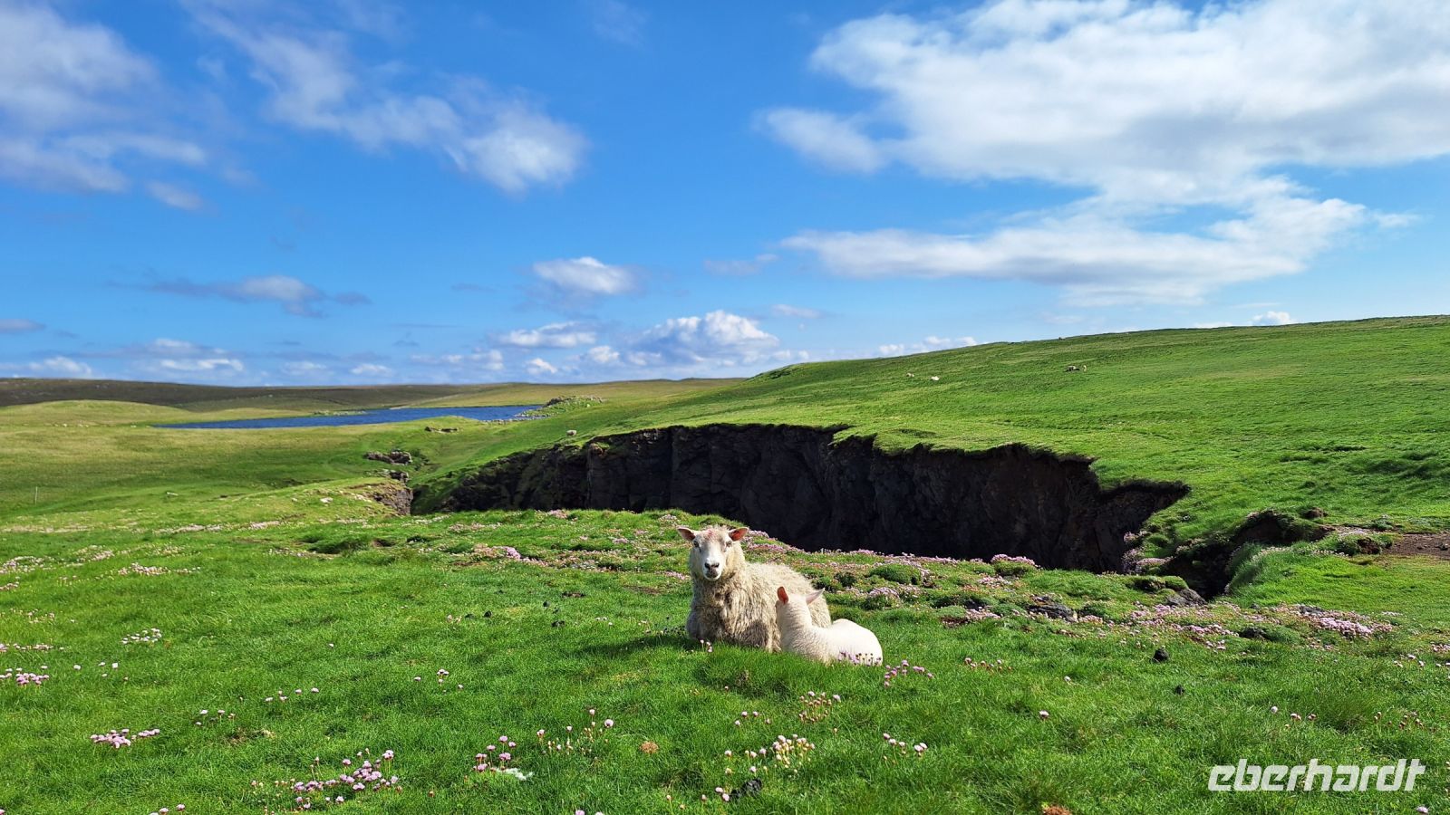 Eshaness &ndash; &copy; Sinah Witzig (Eberhardt TRAVEL)