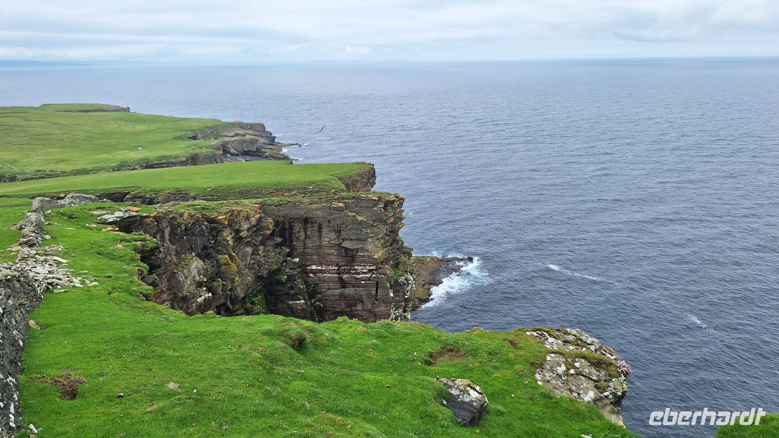 Noss National Nature Reserve &ndash; &copy; Sinah Witzig (Eberhardt TRAVEL)