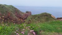 Arbroath Cliffs Trail &ndash; &copy; Sinah Witzig (Eberhardt TRAVEL)