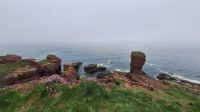 Arbroath Cliffs Trail &ndash; &copy; Sinah Witzig (Eberhardt TRAVEL)