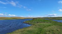 Eshaness Broch &ndash; &copy; Sinah Witzig (Eberhardt TRAVEL)