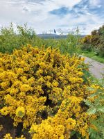 Culloden 05 &ndash; &copy; Frank Reininghaus (Eberhardt TRAVEL)