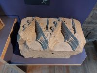 Elgin Kath 04 &ndash; &copy; Frank Reininghaus (Eberhardt TRAVEL)
