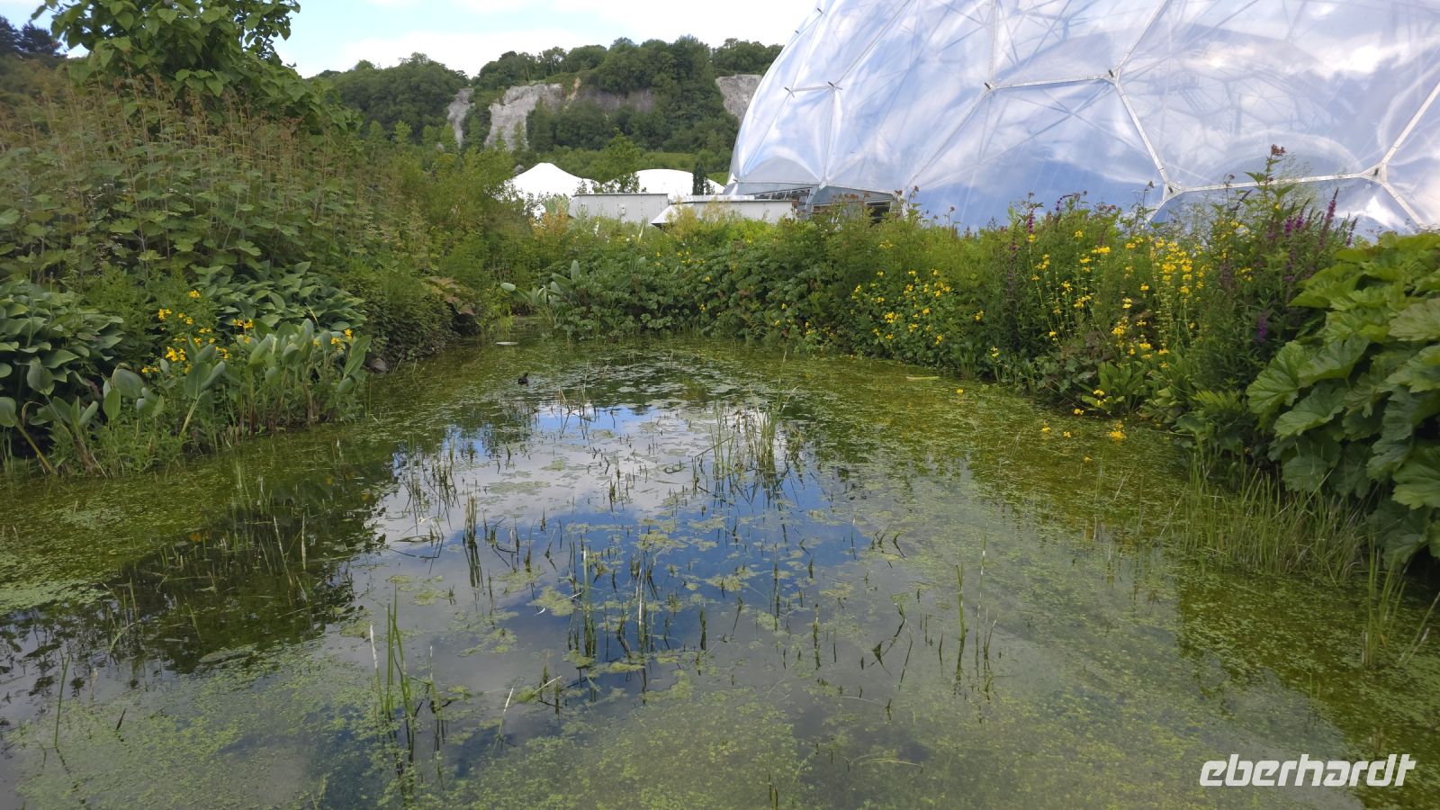 Eden Project &ndash; &copy; Marlies Thrum (Eberhardt TRAVEL)