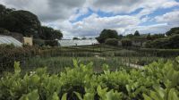 Lost Gardens of Heligan