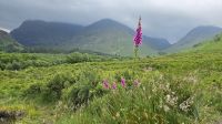 Glen Coe  &ndash; &copy; Marlies Thrum (Eberhardt TRAVEL)