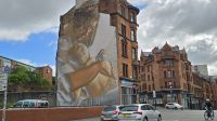 Murals- Wandbilder- wieder mit dem Rotkehlchen &ndash; &copy; Marlies Thrum (Eberhardt TRAVEL)