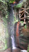 Shanklin Chine &ndash; &copy; Constanze Maißel (Eberhardt TRAVEL)