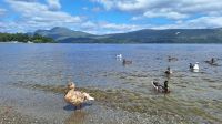 Loch Lomond &ndash; &copy; Sinah Witzig (Eberhardt TRAVEL)