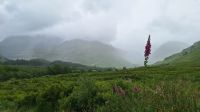 Glencoe &ndash; &copy; Sinah Witzig (Eberhardt TRAVEL)