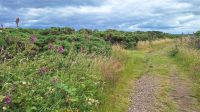 Chanonry Point &ndash; &copy; Sinah Witzig (Eberhardt TRAVEL)