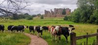 145 Kenilworth Castle &ndash; &copy; Konrad Füssel (Eberhardt TRAVEL)