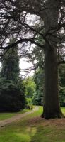 161 Arley Arboretum and Gardens &ndash; &copy; Konrad Füssel (Eberhardt TRAVEL)