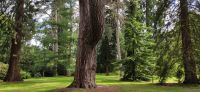 171 Arley Arboretum and Gardens &ndash; &copy; Konrad Füssel (Eberhardt TRAVEL)